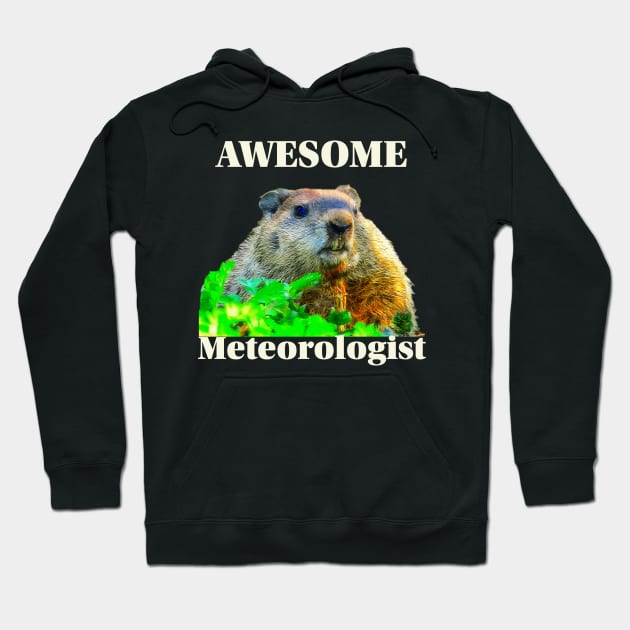 Groundhog Day Meteorologist Hoodie by KathyG'sArt